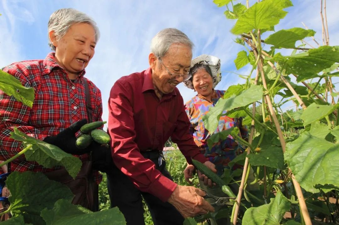 有機農場嚮往的田園生活就差你了