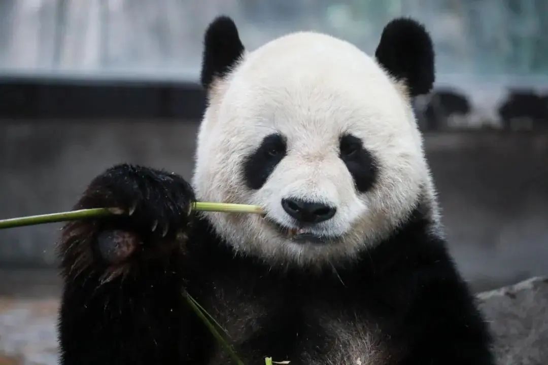 少聚集,勤洗手,戴口罩的好习惯一定不