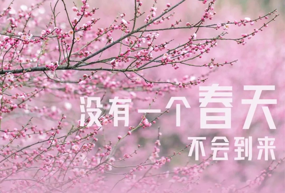 此生無悔入華夏,來生願在種花家