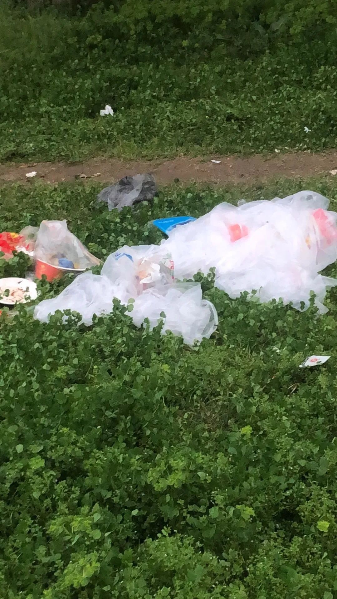 触目惊心汉川河堤疫情当下有人烧烤垃圾满地乱丢垃圾的人你们良心过得