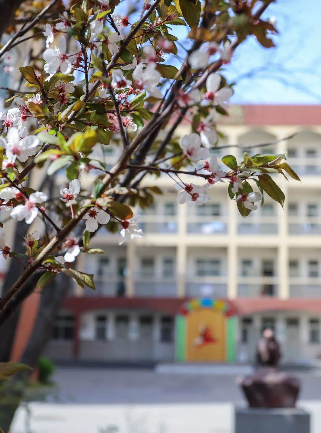 攝洛陽華洋國際學校王振華 攝龍城雙語初級中學王振華 攝市二外翟建偉