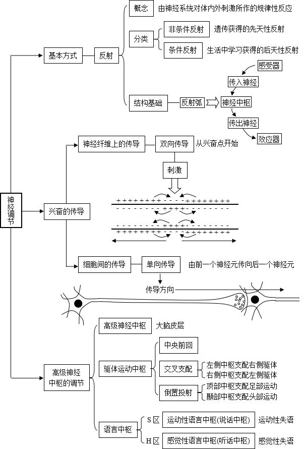 備考高考一輪複習生物知識點生命活動的調節圖示