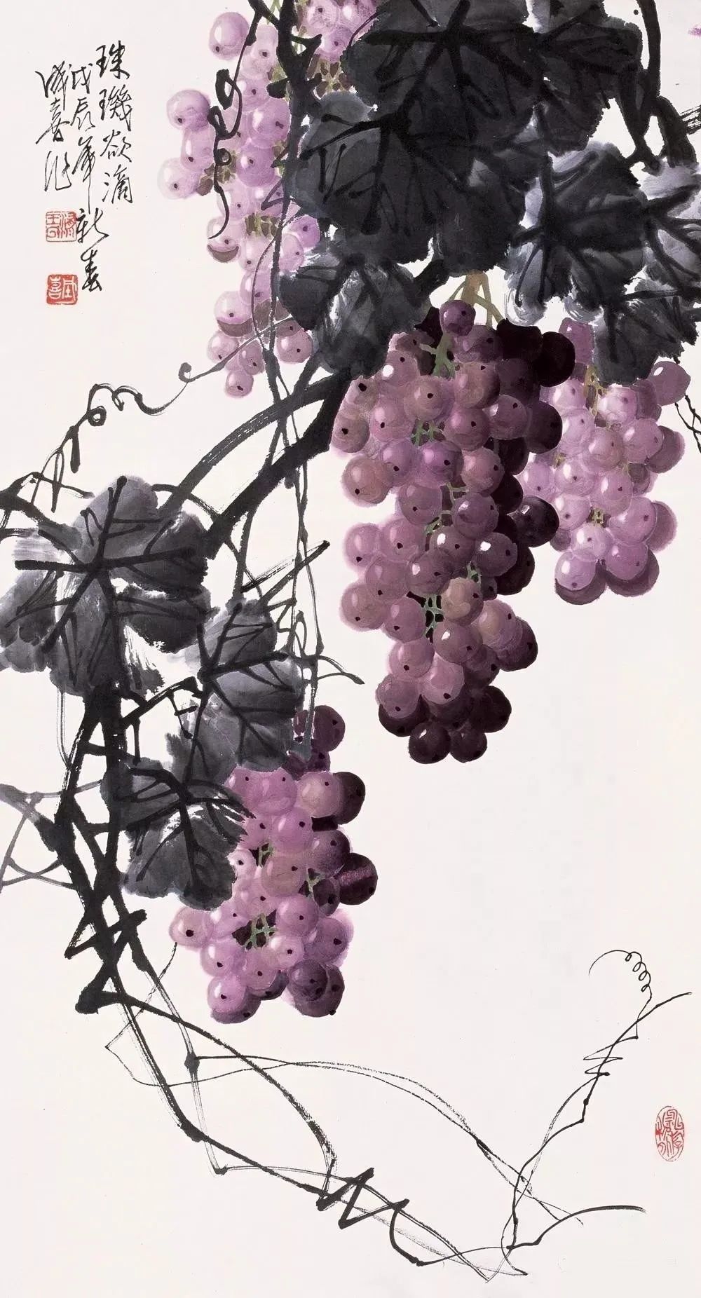 他梅花画得好葡萄也醉人