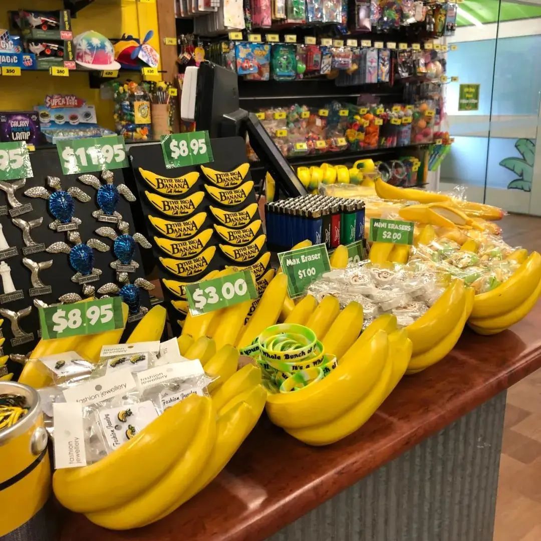 经历bushfire之后的考拉和森林都怎么样了