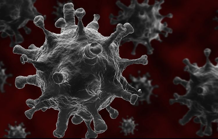 南非新型冠状病毒患者增至240人:最新形势分析图