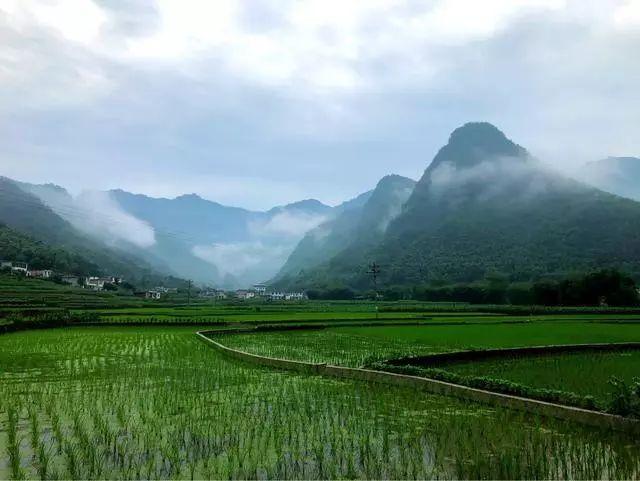 宜宾双河西坝四季风光