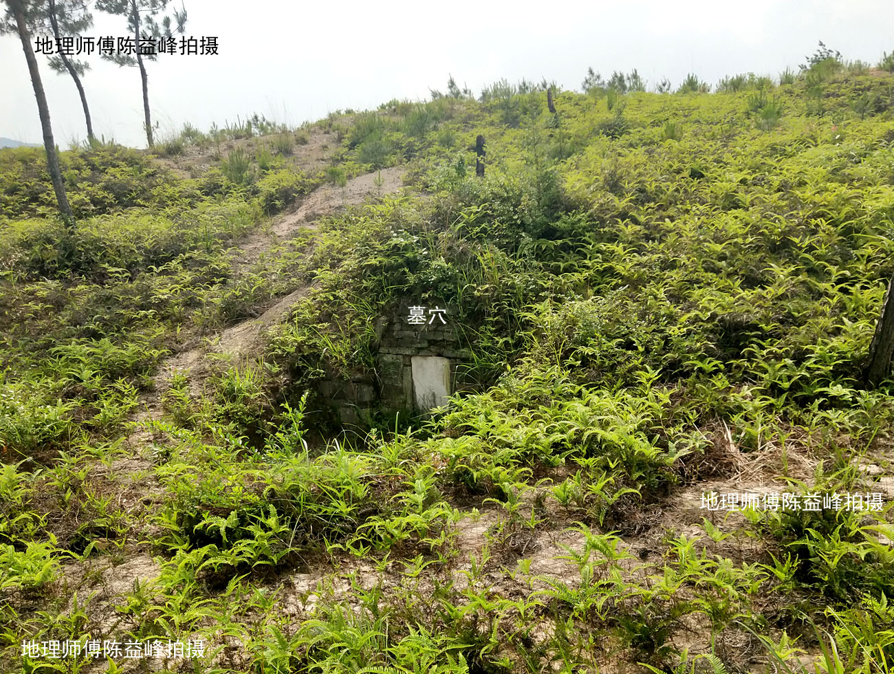 近看墓穴近看墓碑站在海螺口右侧看仰天海螺全景全文完.