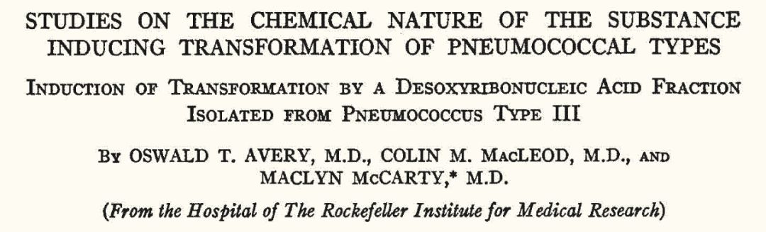 mccarty(1911╟2005)通过实验发现dna是griffith转化实验的关键,证实