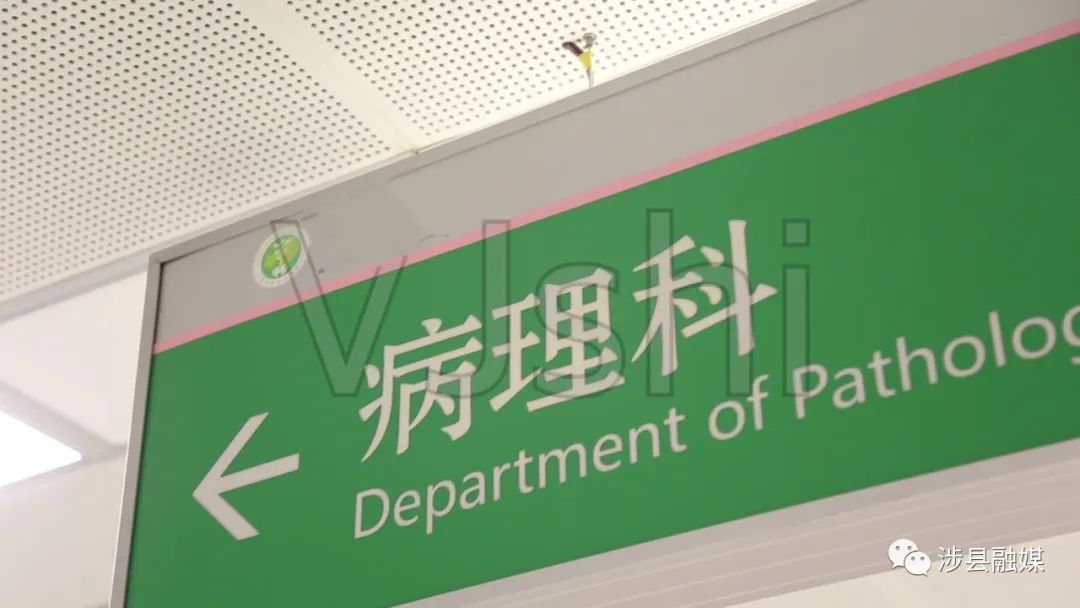 【涉县医院】病理科——疾病的"审判官"