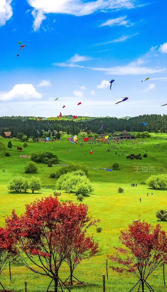 气温飚至28重庆这10个赏花踏青圣地好看好耍今天就出发