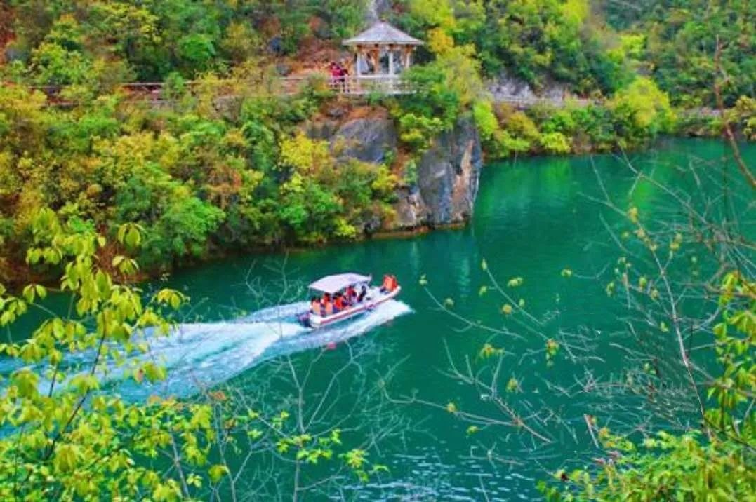 【卓越旅遊】| 春日同遊五龍河,多項惠民賞春景 ——五龍河景區3月23