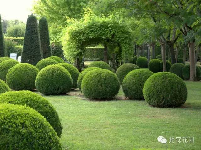 庭院球球们的花园世界