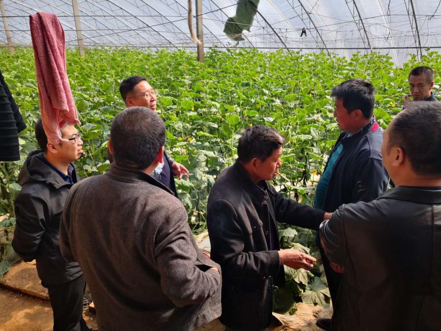 县委副书记刘大鹏深入孝义镇进行调研