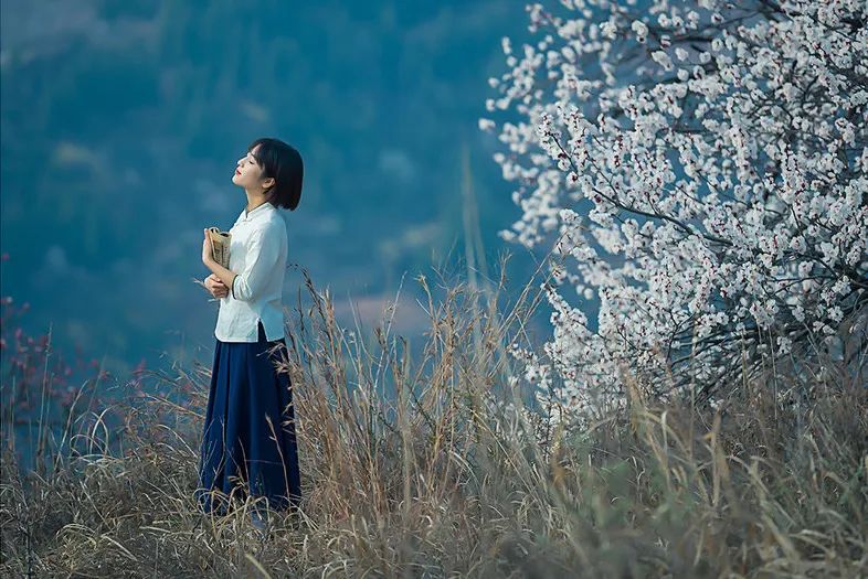 花開花落亦綿長緣來緣去總相逢