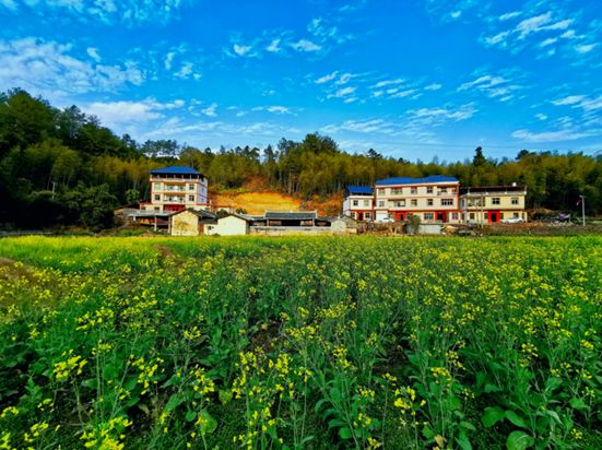 点赞丨以赛促改,上杭白砂开展村庄"颜值"大比拼