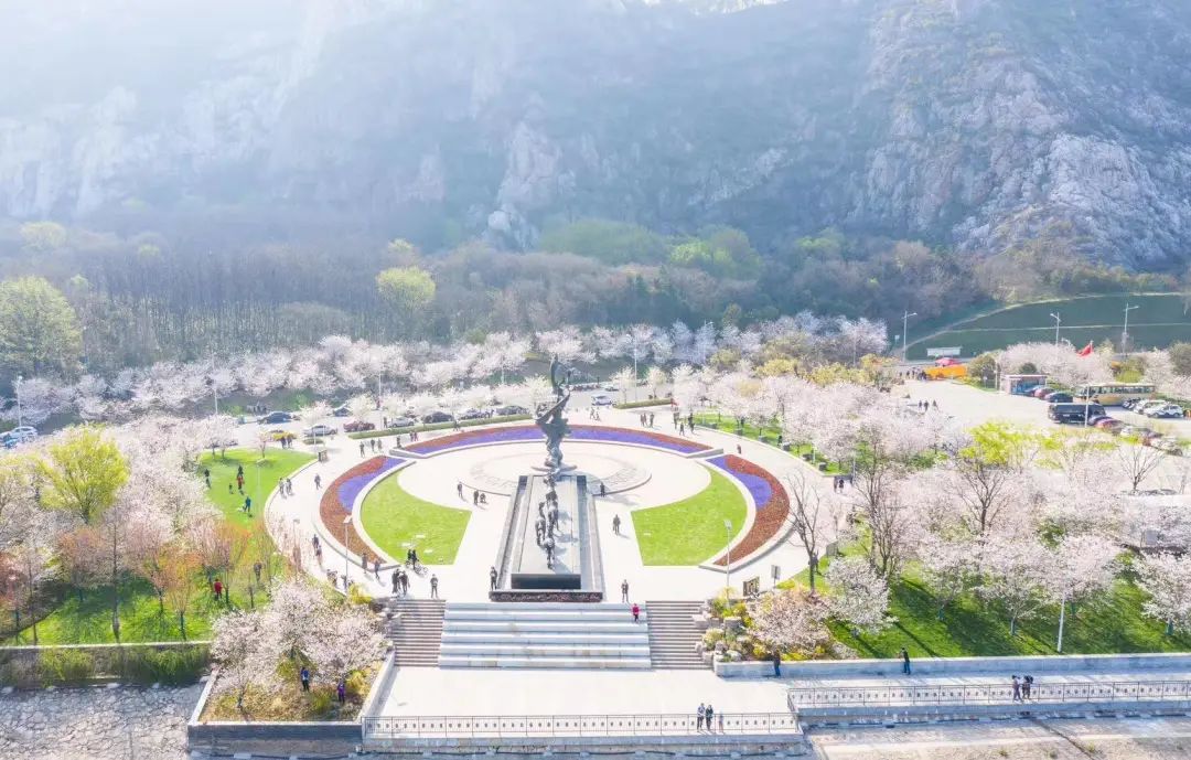 周末吸引了很多市民前来赏花还可以从幕府山俯视樱花全景不仅可以在
