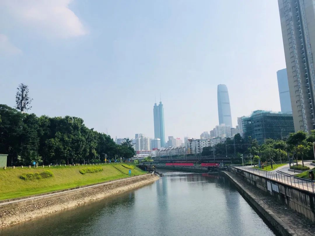 今天来看看流动的罗湖有多美