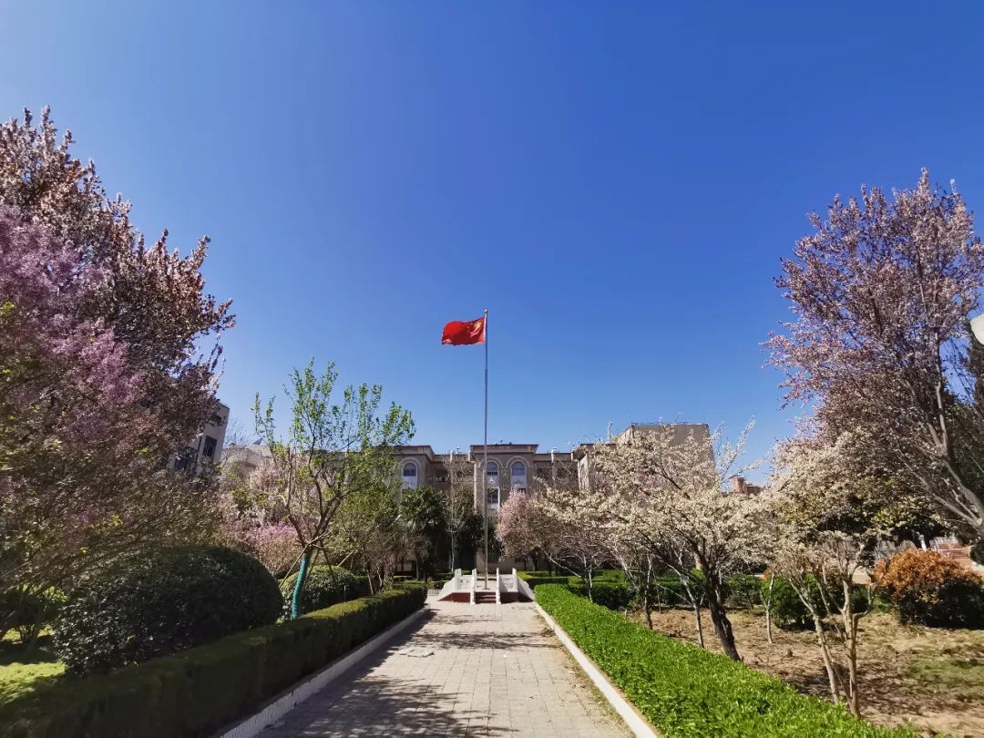 三月的柘城二高校园繁花似锦等你归来