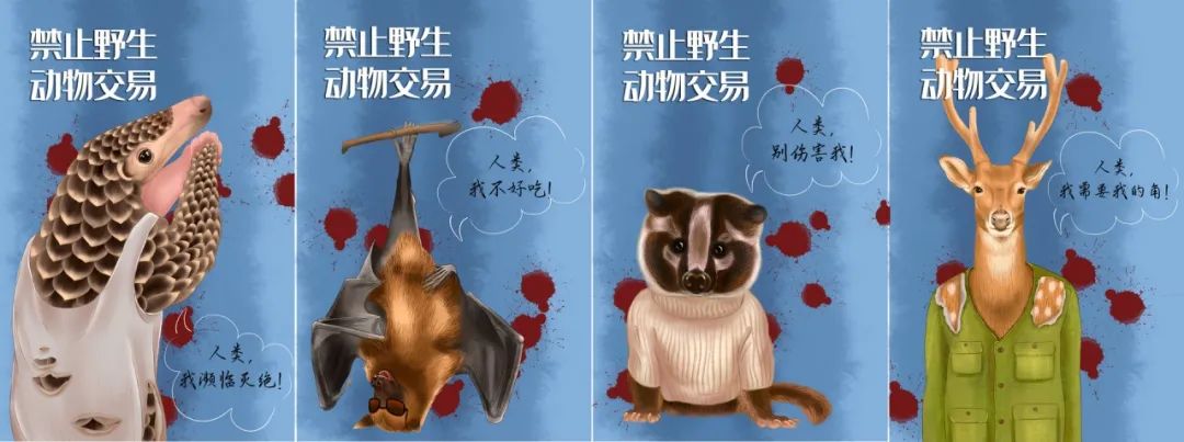 立法重庆全面禁止非法交易食用野生动物含具体罚款金额