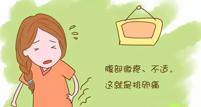 排卵出现的腹痛,对备孕女性来说未必是坏事!