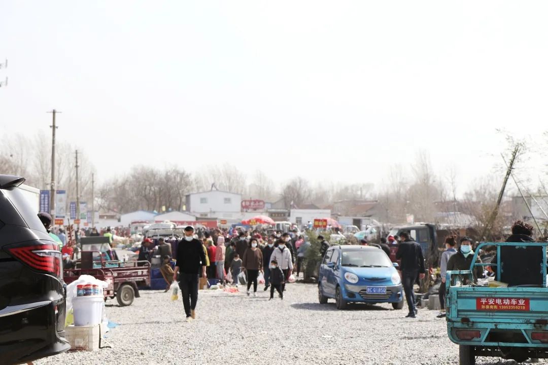 临淄农村大集陆续开市,去看看