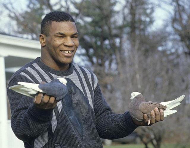 泰森宠物死后,收废品的人尝试了一次!_鸽子