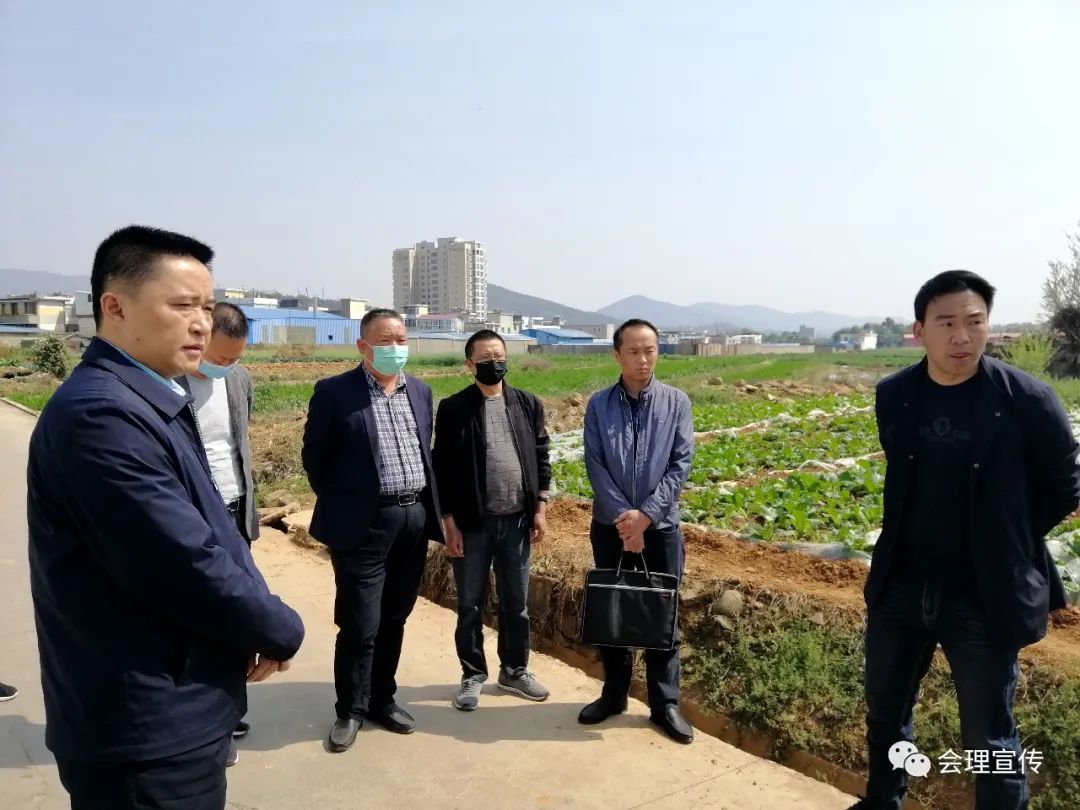 6亿元占地约100亩的城南小学,你知道吗?_廖进