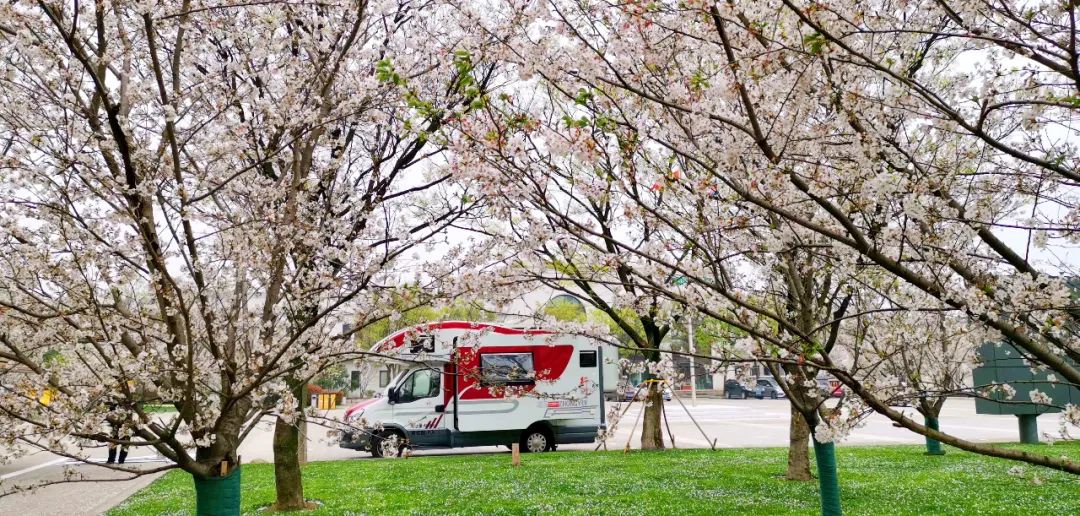 中意房车春季秒杀第二波——这次既然会是"ta"