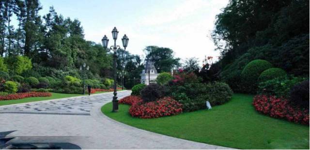 绝对实用绿化地被放线手法运用