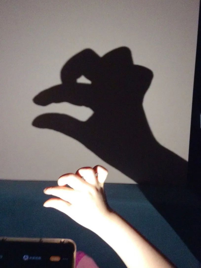 一只手影子手势图片图片