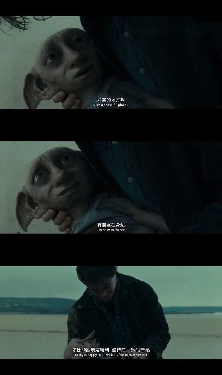 多比的一生虽然短暂,但是他却是家养精灵中最先得到自由的那一个.