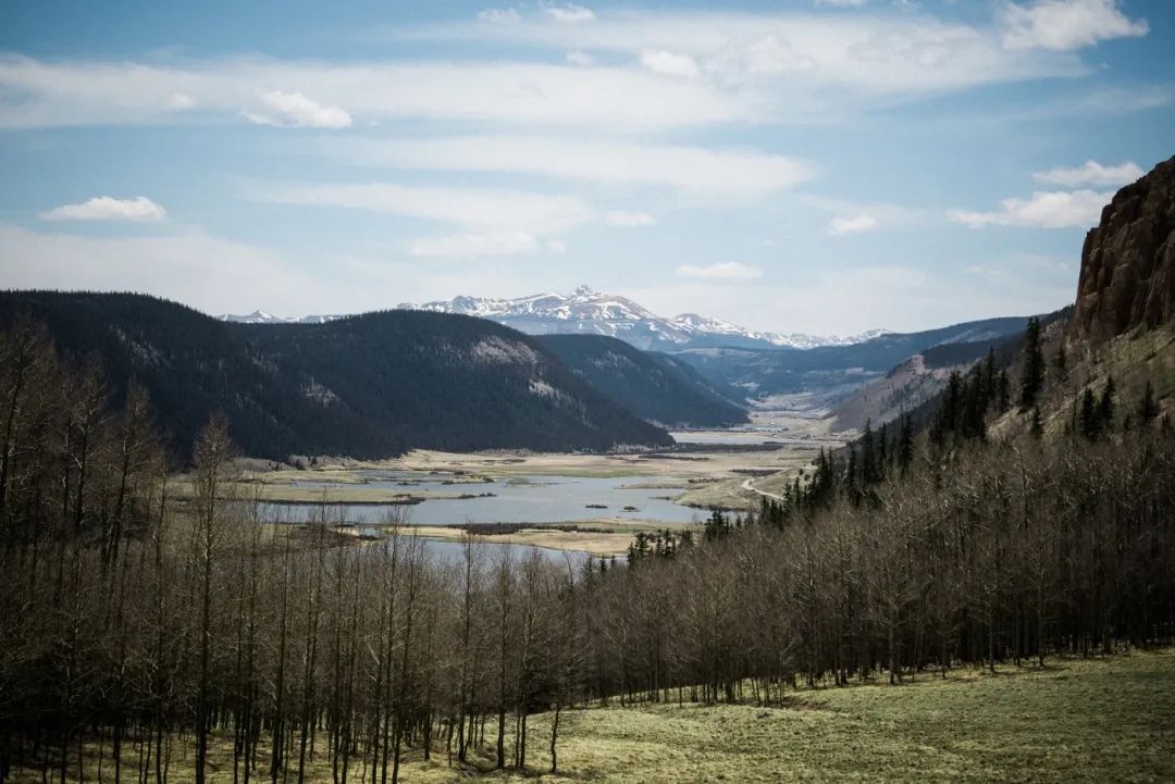 冷调中的温润质朴,是自然的模样_摄影