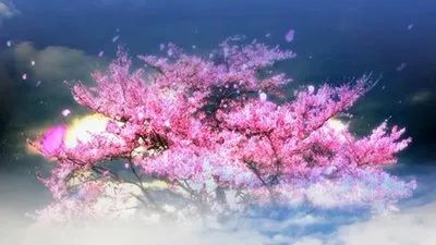 青葱岁月|王艺淼|春暖艳阳天