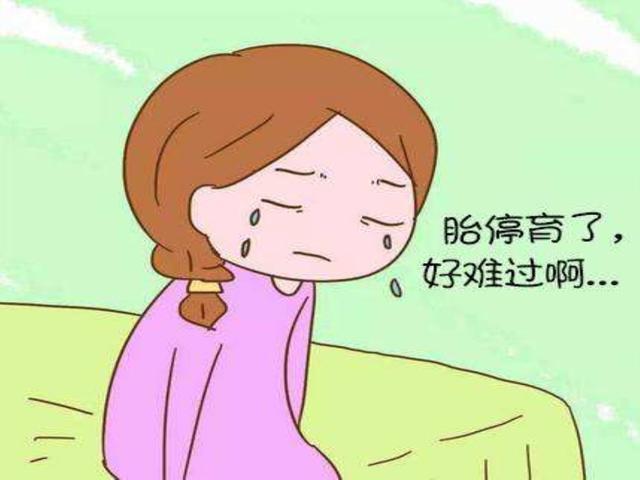 生殖免疫的问题1.生殖