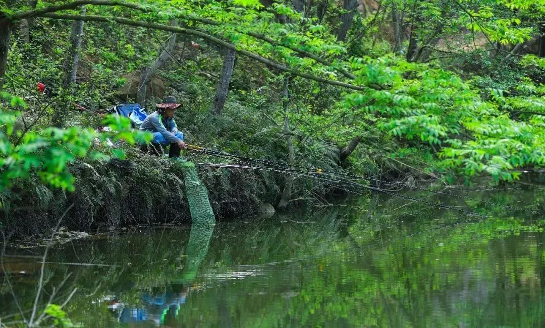 阆中杨家河看得见山望得见水记得住乡愁