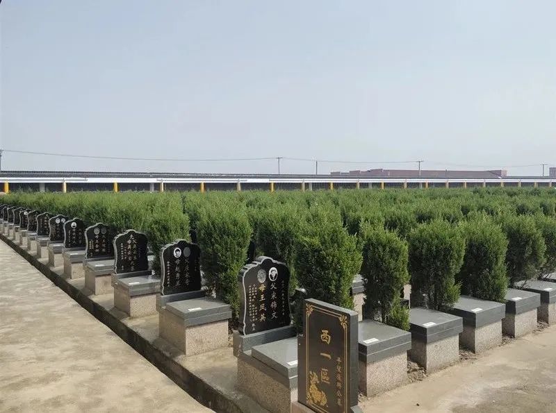 清明寄语表达哀思吴江开展集体祭扫活动