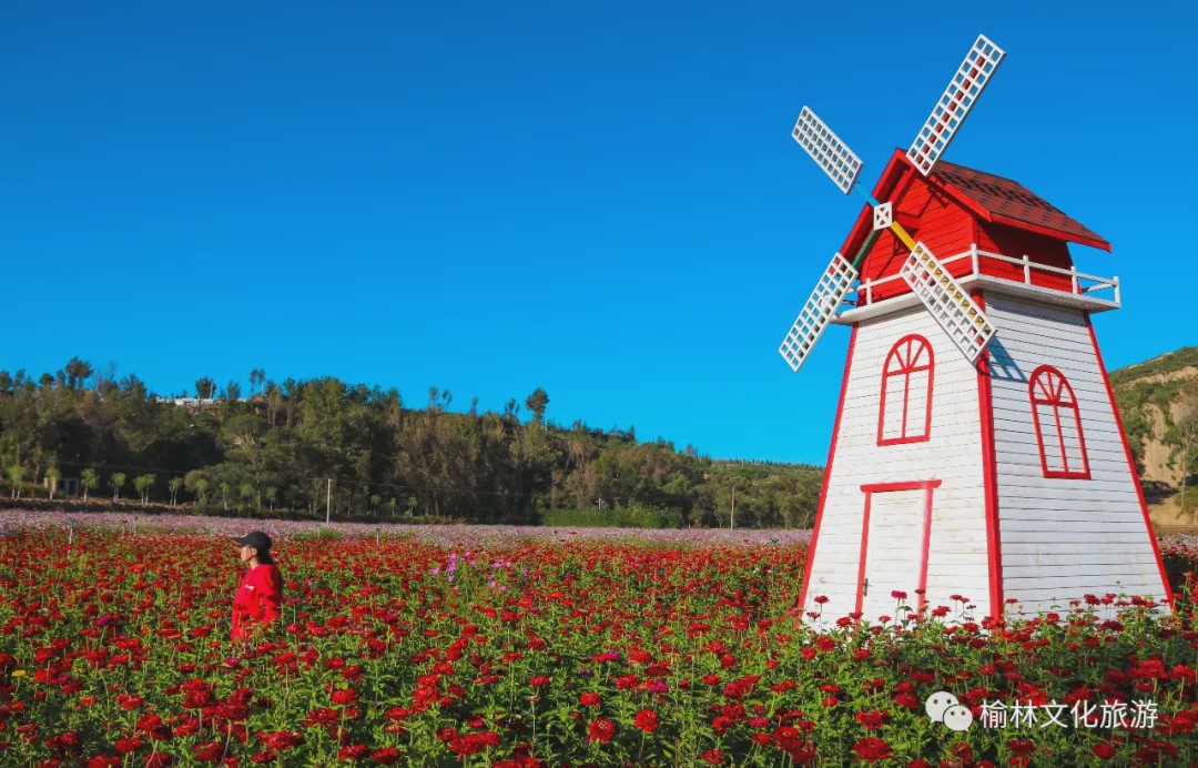 放风筝,郊游……在榆林做这十件事遇见美好时光,享受悠然生活来源