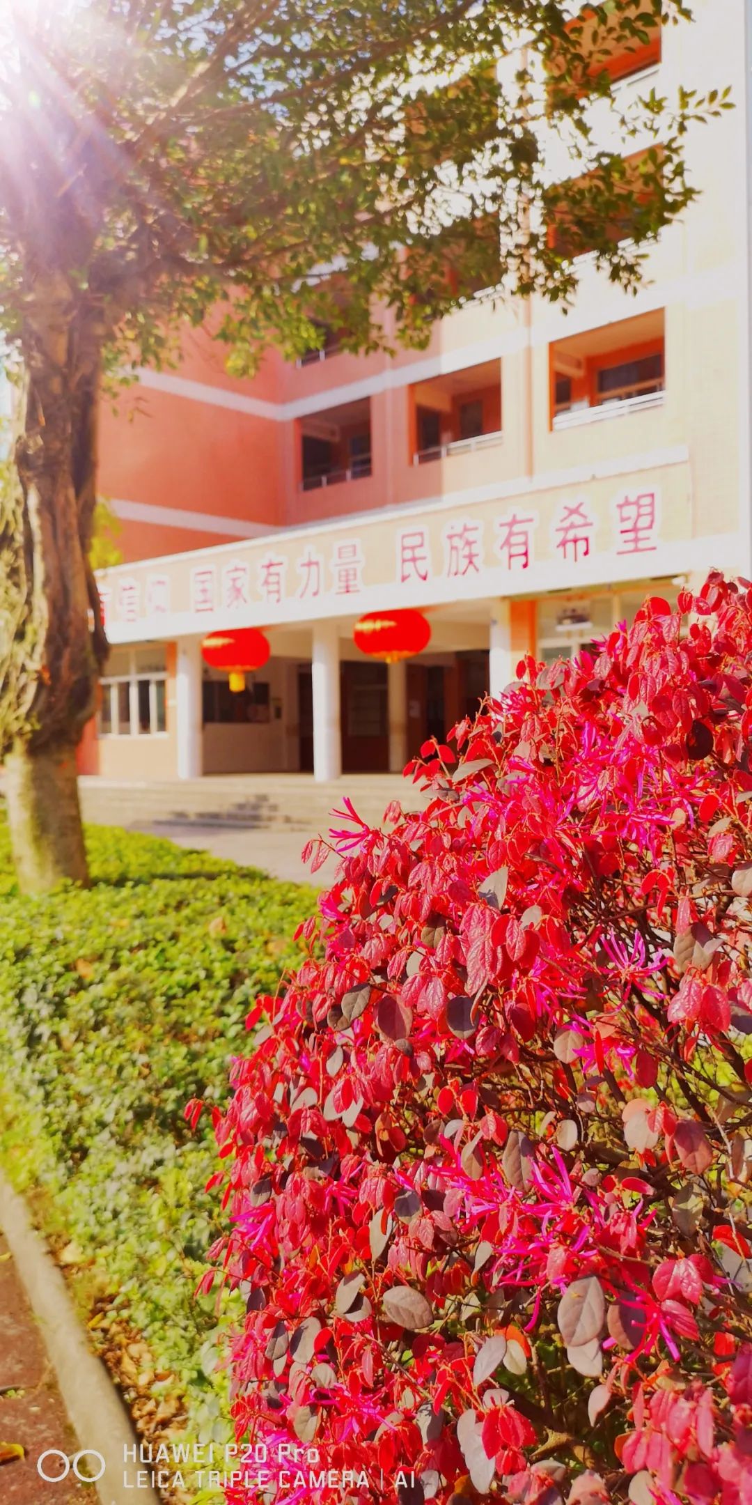 宜宾香山中学图片