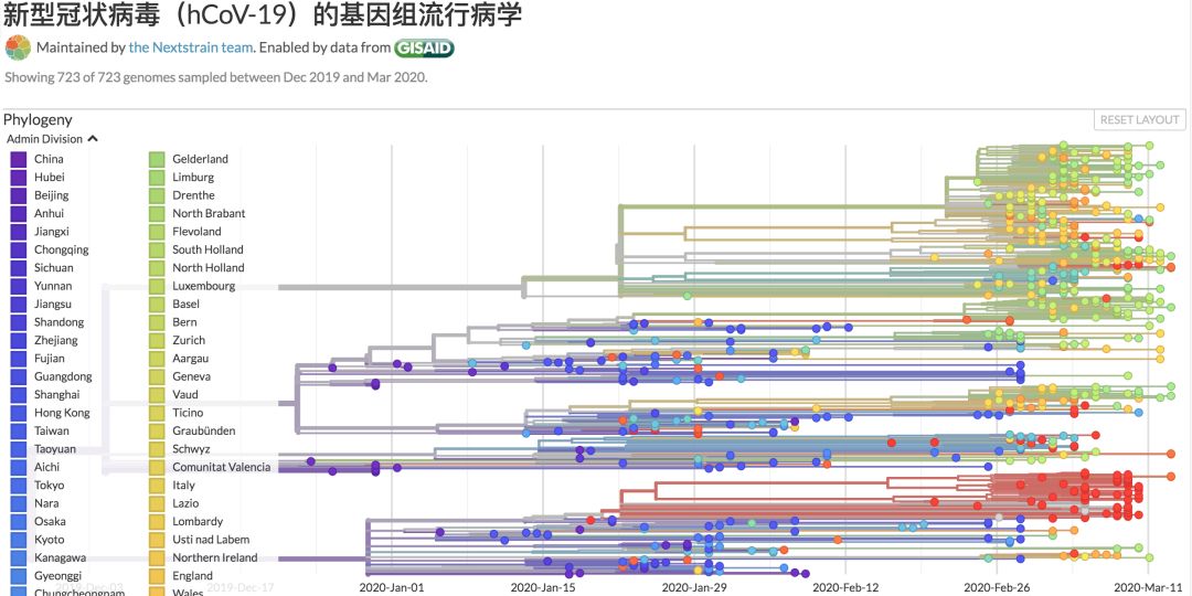 原创核酸检测好帮手基因测序仪进驻火神山