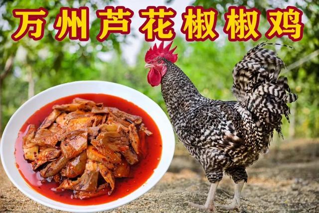 抗疫助农主播带货明天万州有一场大型直播还有众多福利