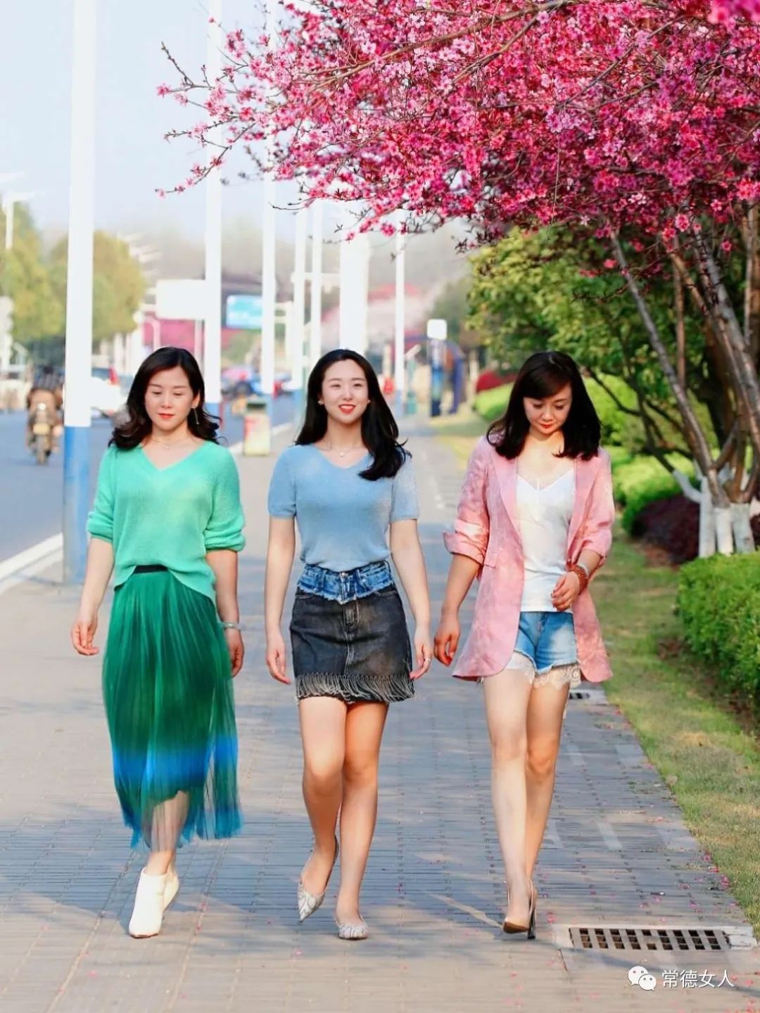 刚刚央视24频道常德满园春色正当时