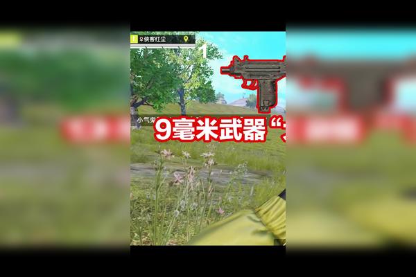 挑战超神9毫米到底是哪把枪这么强一吃鸡和平精英