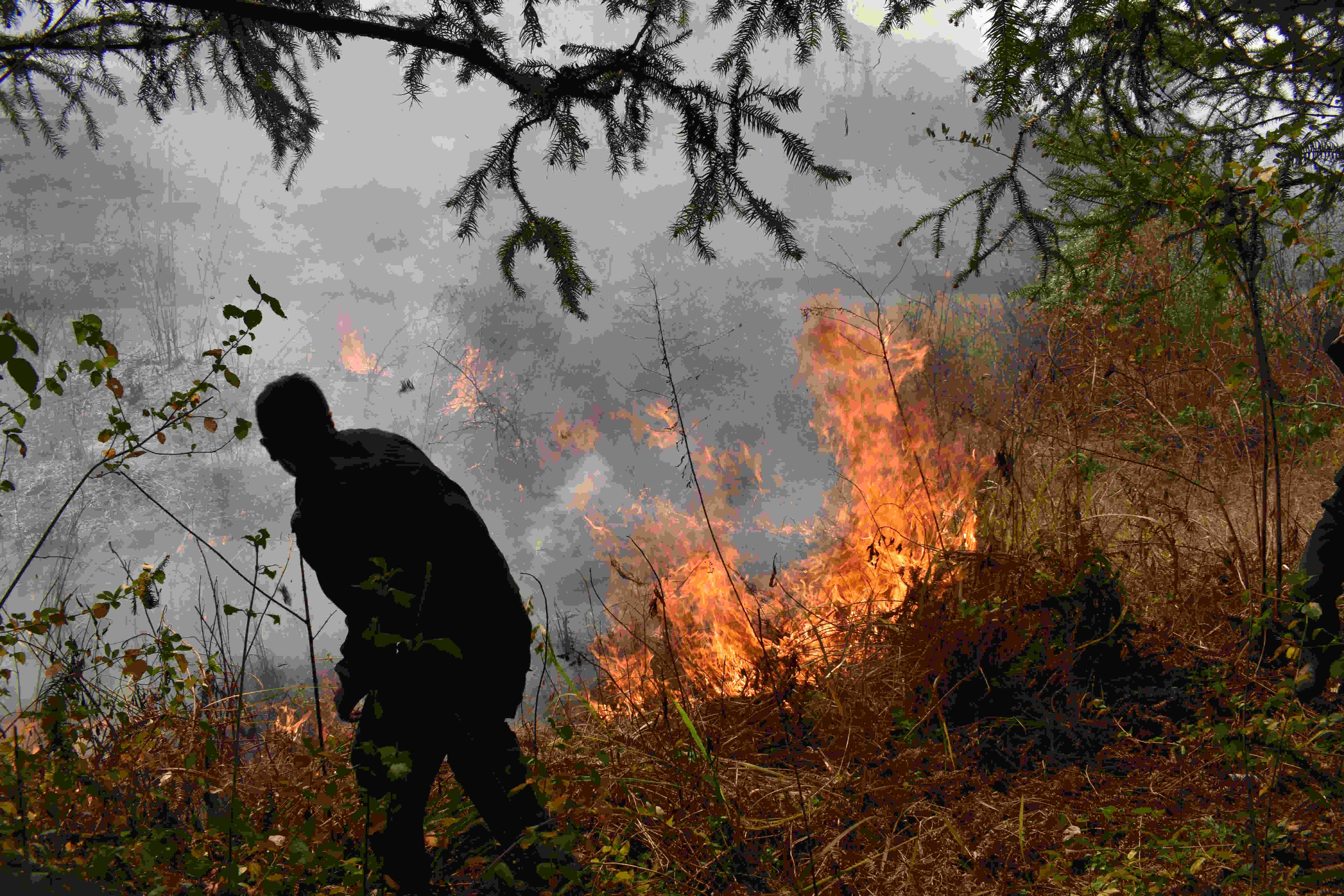 云南临沧扑灭越境山火守卫边境安宁