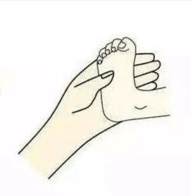 足握持反射(0-10月)此反射出生后即出现,肌张力低下不易引出,手握持