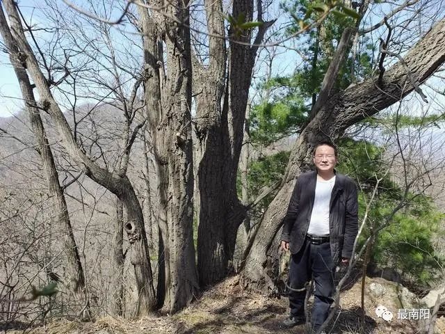 这片原始森林人迹罕至,只有沿山脊一条蜿蜒曲折的山路可走.