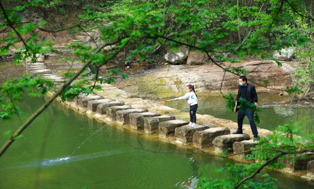 阆中杨家河看得见山望得见水记得住乡愁