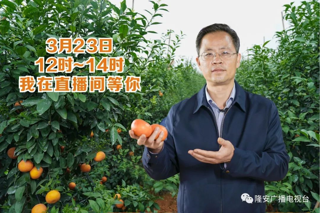 为隆安打call,正在淘宝直播"带货",隆安县副县长县长来了!