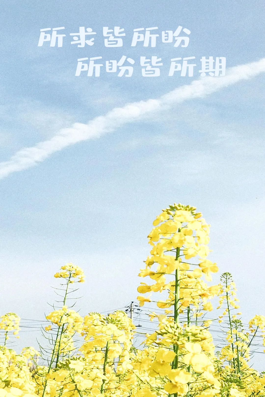 又一波专属壁纸来袭换上新鲜美丽心情