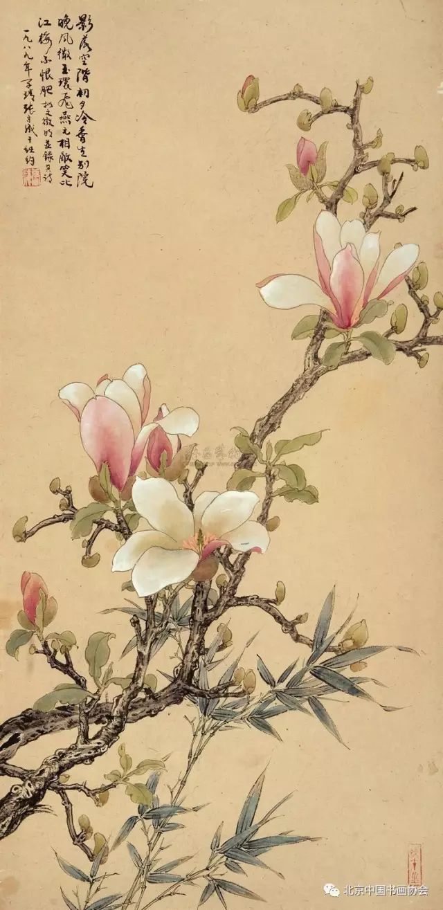 玉兰国画作品欣赏:中国有2500年左右的栽培历史,为庭园中名贵的观赏树