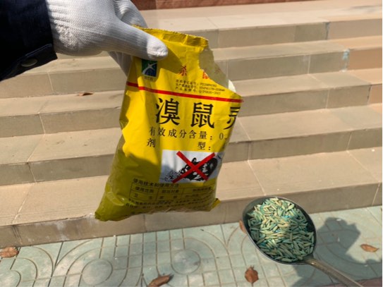 原创认清灭鼠毒饵站和灭鼠药让孩子宠物远离危险